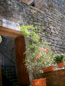 maison location saisonniere 07